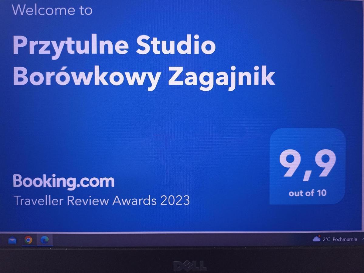 Przytulne Studio Borowkowy Zagajnik 피에초비체 외부 사진
